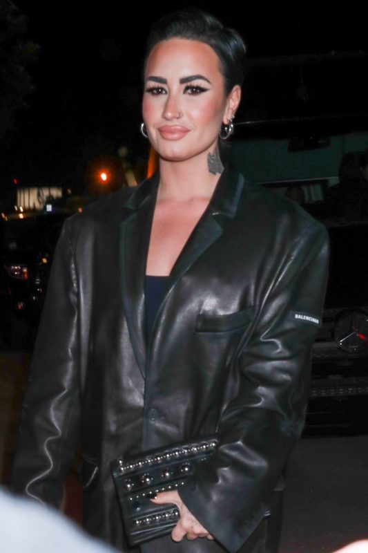 Steel press and a beautiful face without makeup. Demi pleasantly surprised fans