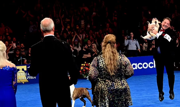 Morgan Fox's bulldog won the top prize at the National Dog Show.