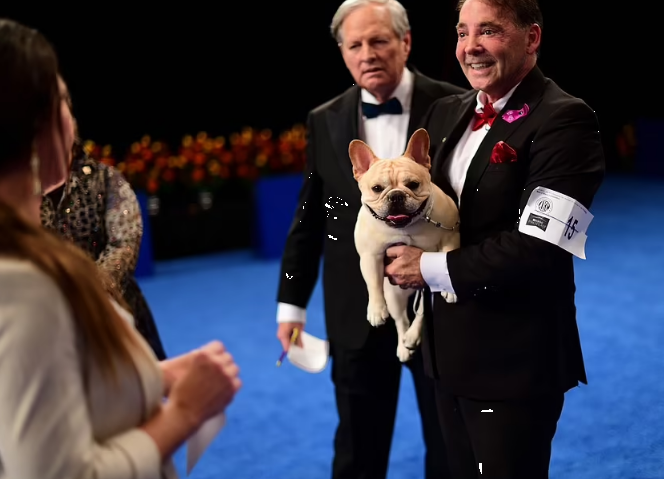 Morgan Fox's bulldog won the top prize at the National Dog Show.