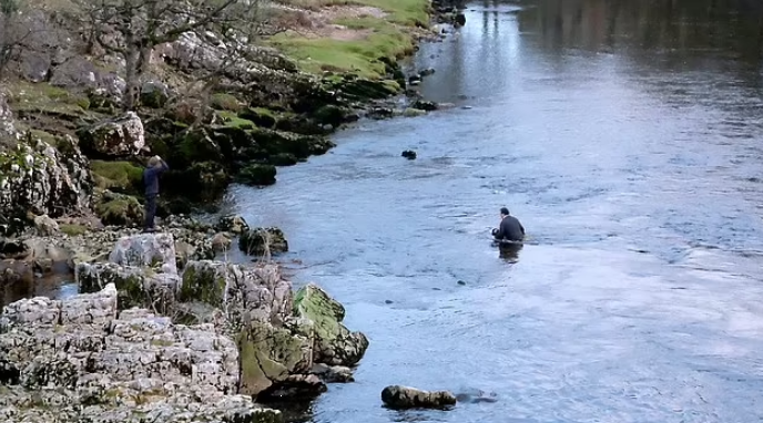The sheep fell into the frozen river. And this guy could not leave the unfortunate animal in trouble. All caught on video