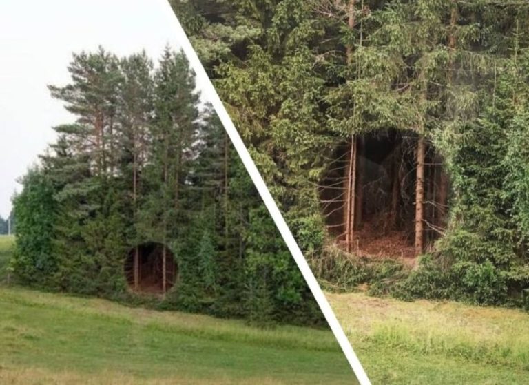 This hole appeared out of nowhere and leads to no one knows where. Here's what the locals say