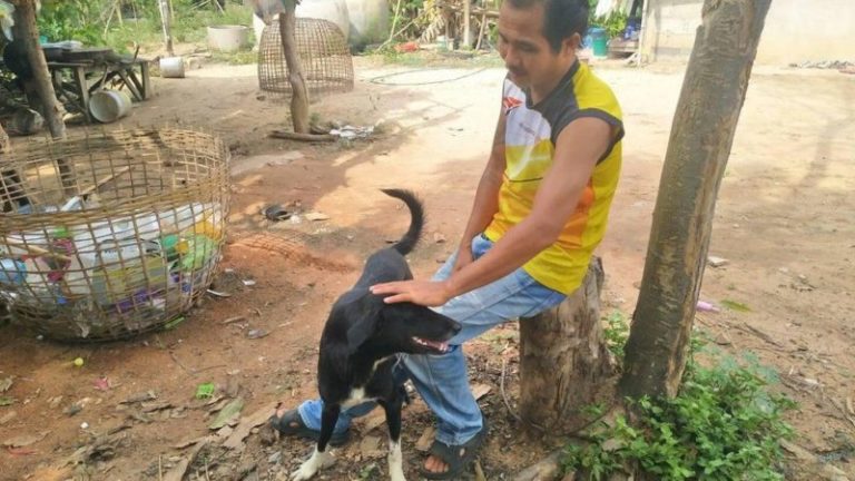 The baby, who was buried by his mother, was saved by this dog. When there is more humanity in an animal