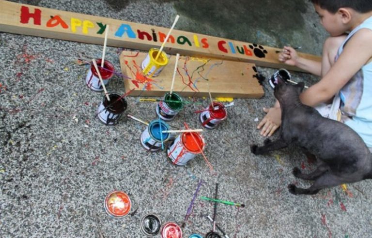 The love for homeless animals led this boy to open his own shelter. A real hero!