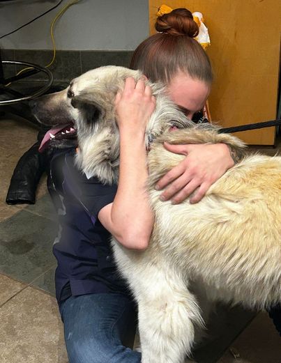 In this shеlter, a dog and her оwner met after years of separation
