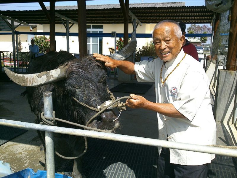This 26-year-old buffalo waited until his final encounter with his owner before passing away