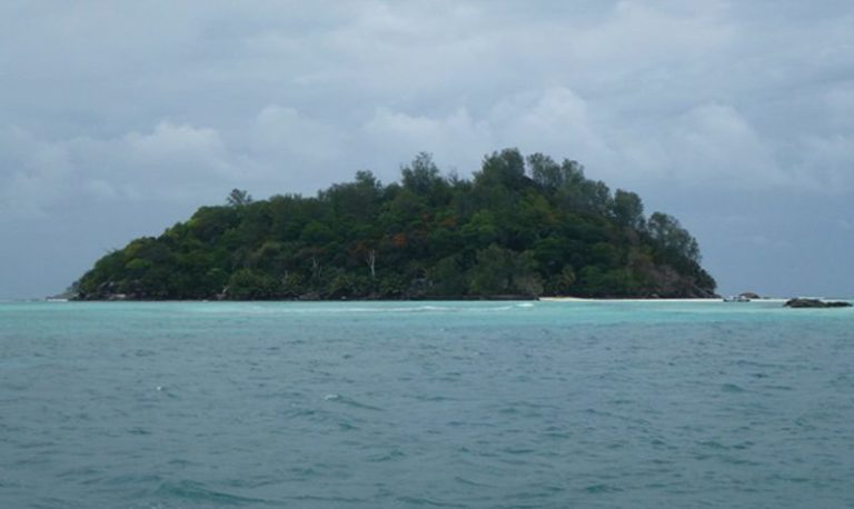 He bought a separate island in the hope of finding a treasure there. That's what was waiting for him