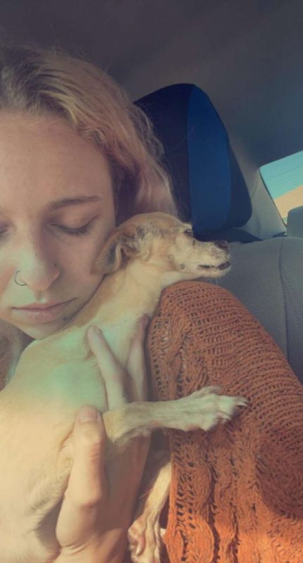 When they were reunited at the shelter, a Chihuahua believed to have diеd ran into her mother's arms