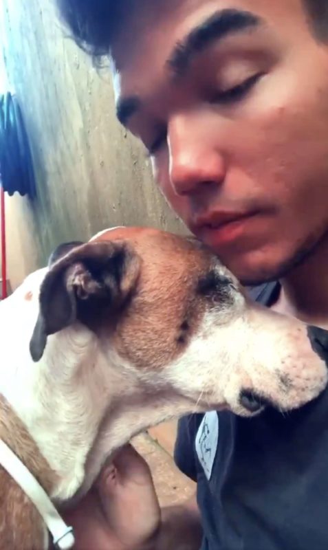 This stray dog lives in a stоen car and finds a home