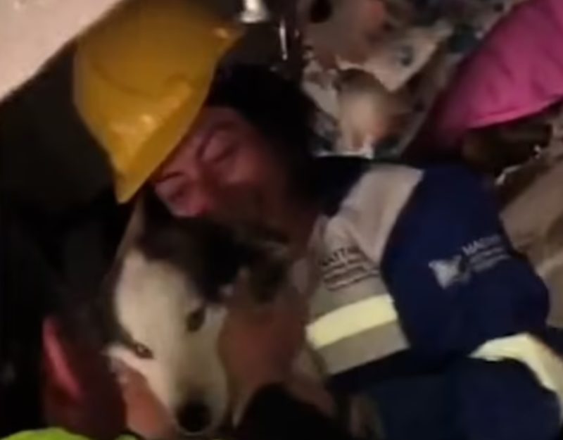 A dog was rescued from rubble after an earthquake, and this is how he reacted