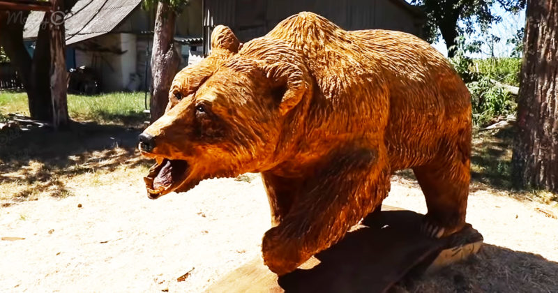 Indistinguishable from the real one! This master created a living bear