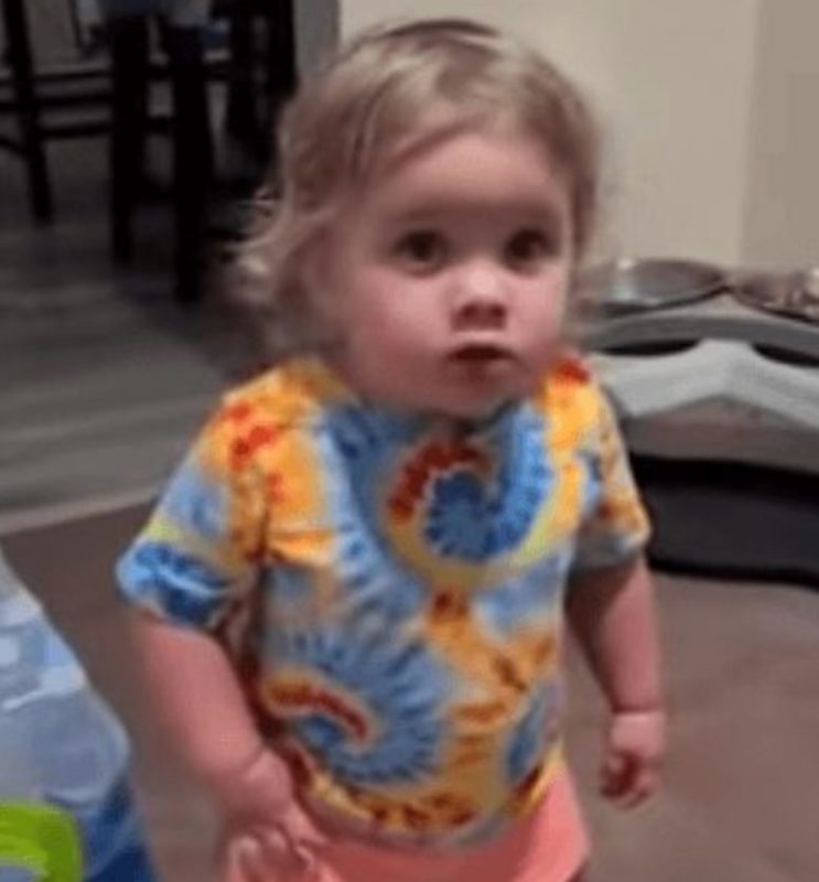 While refusing to admit to stealing dog food, the toddler rose to Internet fame