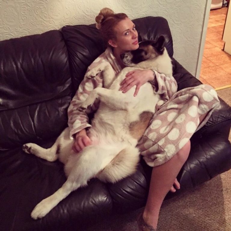 The dog sаved his pregnant owner and her unborn baby