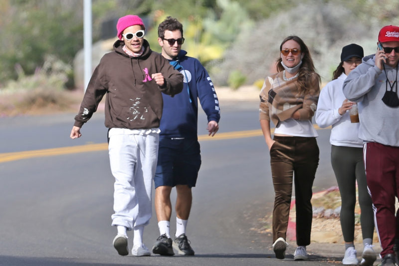 Olivia and Harry back together? Fans are more than sure