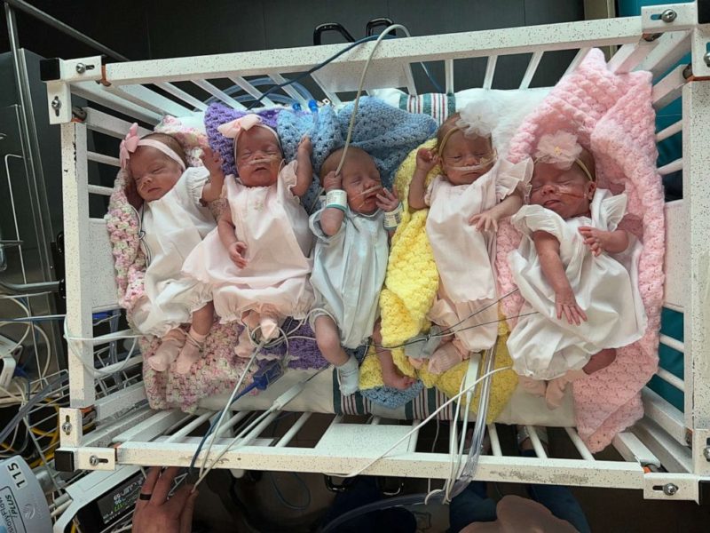These quintuplets touch the entire Internet! Are the parents happy with this addition to the family?