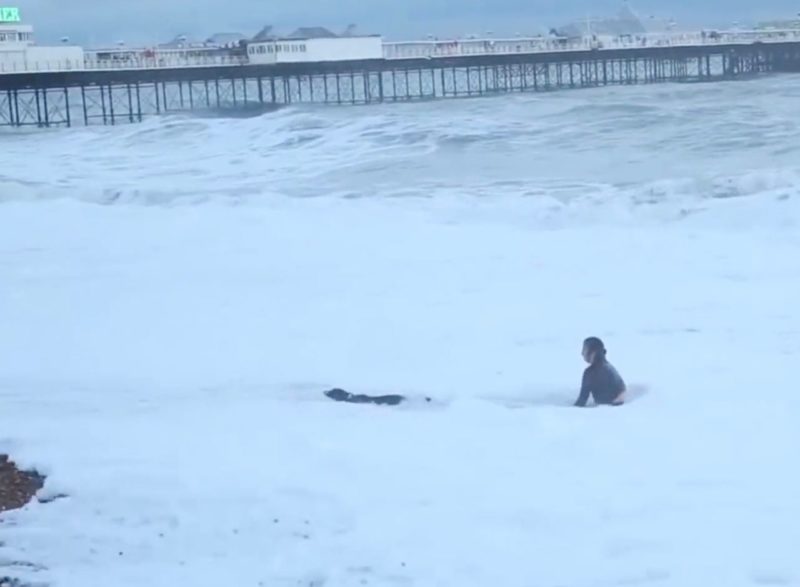 Eyewitnesses filmed a girl trying to save her dog from freezing water
