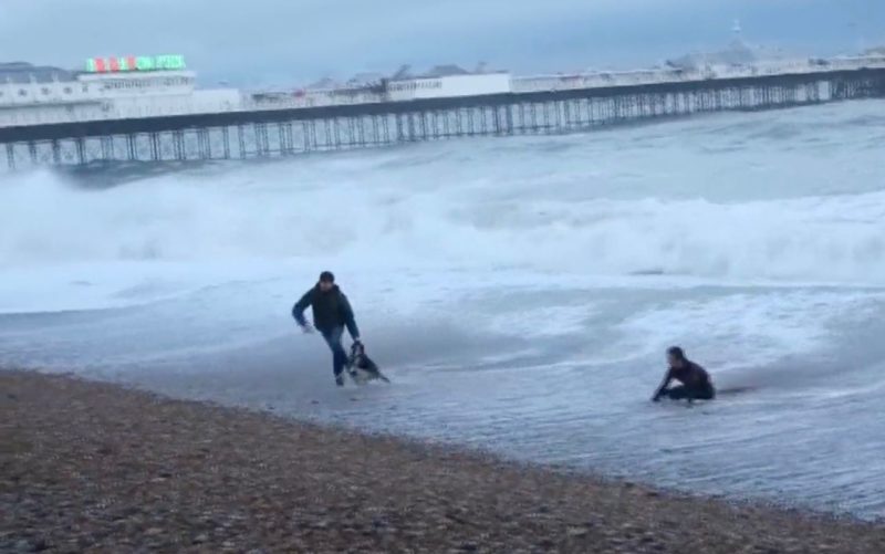 Eyewitnesses filmed a girl trying to save her dog from freezing water