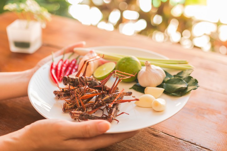 How does a girl who eats only bugs and cockroaches live! Be careful, after that you will lose your appetite