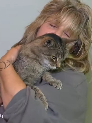 Long years of wandering behind! The cat returns to its owner