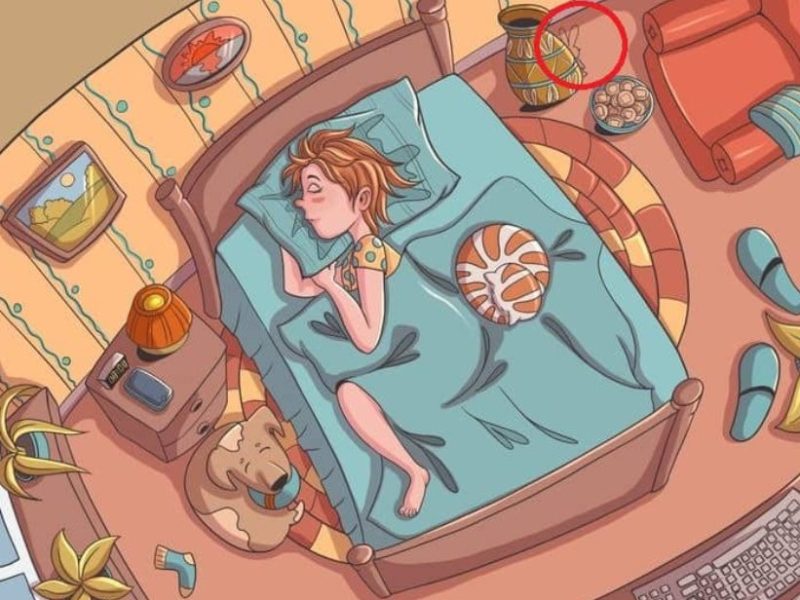 Put your mind to the test! find the hidden rabbit in the bedroom in 9 seconds