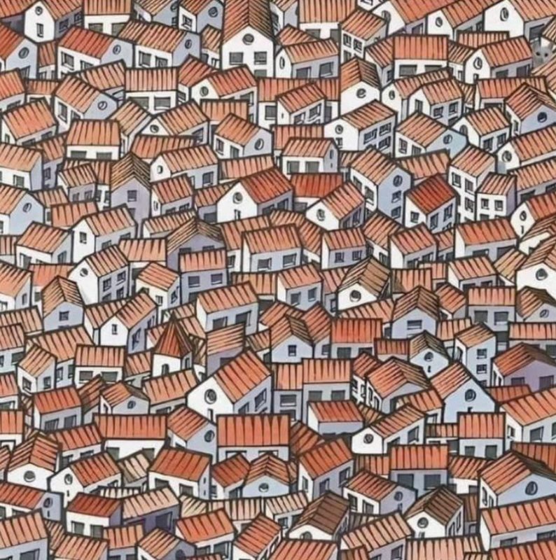 In just 10 seconds, you'll find the hidden kitten! This hard photo puzzle will put all your skills to the test!