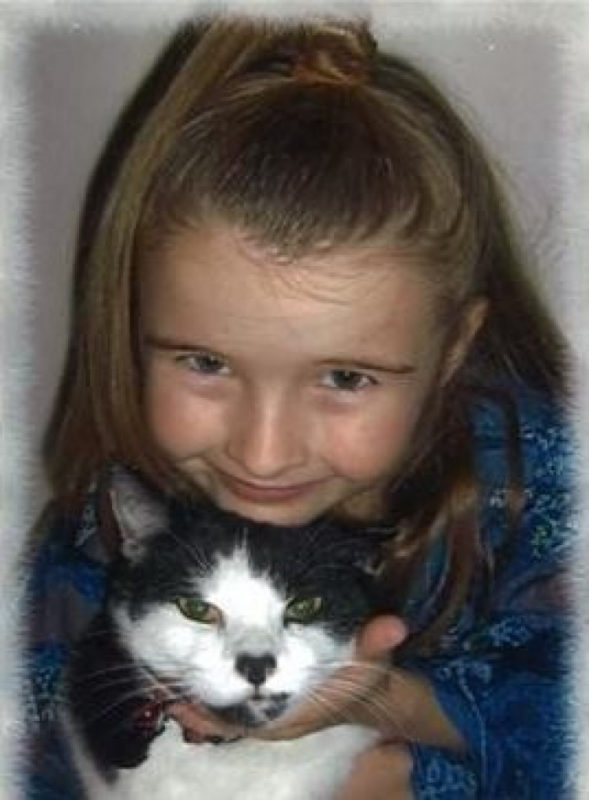 While volunteering at an animal shelter, a teen discovers her long-lost childhood cat