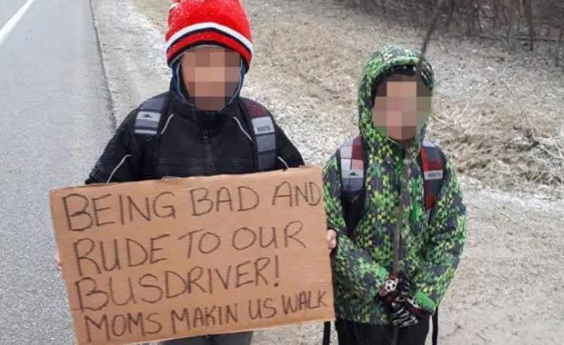 The mother pսnished the children because of the bսllying attitude towards the driver