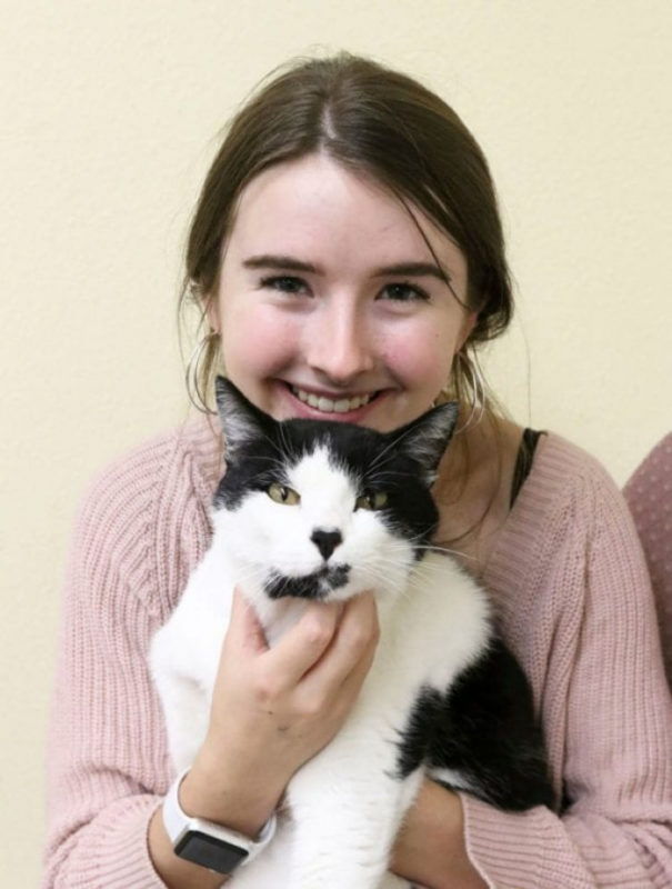 While volunteering at an animal shelter, a teen discovers her long-lost childhood cat