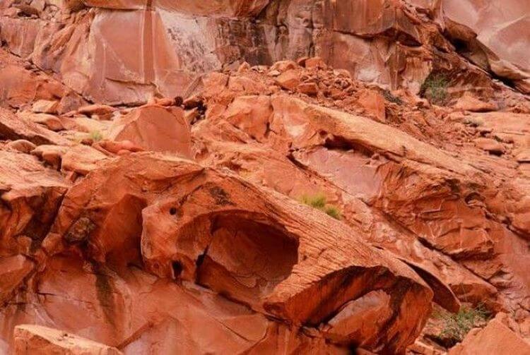 If you can find the woman in this photo, you can declare your IQ is above average