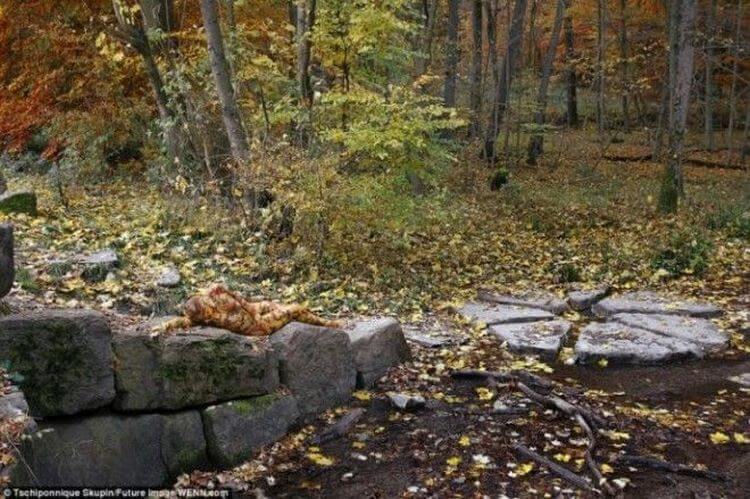 If you can find the woman in this photo, you can declare your IQ is above average