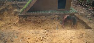 The man went into the forest and excavated the pool himself, using his hands and a stick! Video