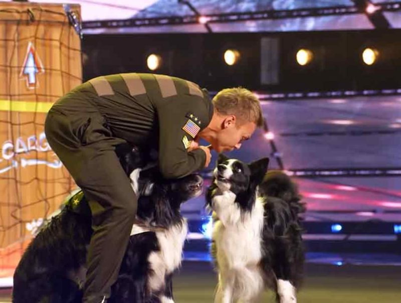 Smart and artistic! How the dog shows his talents!