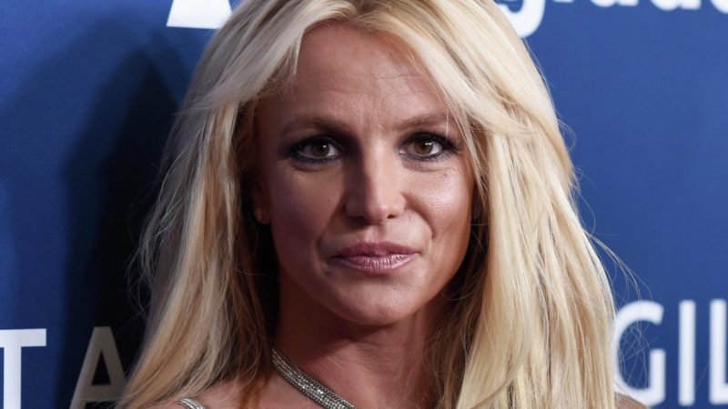 Britney Spears Dives Off A Boat More In Purple Bi Ini While   Spears 