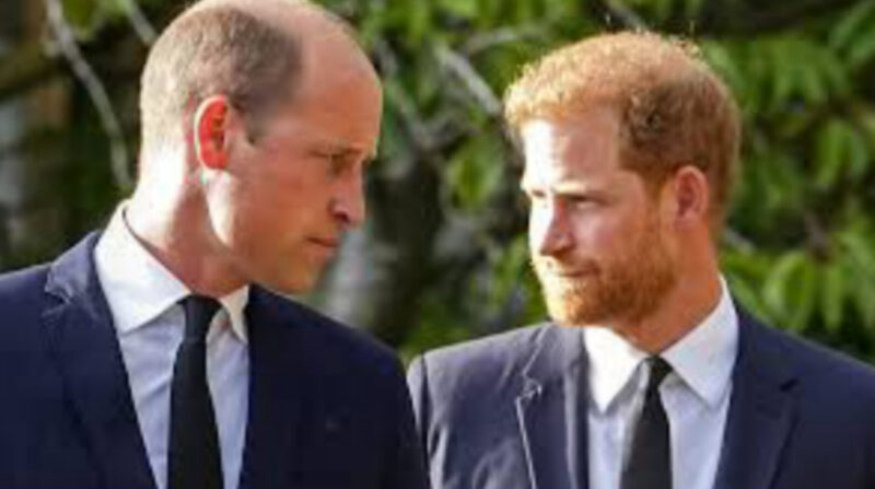 Hasn't spoken to Harry in two years and doesn't want him at his coronation, according to Prince William