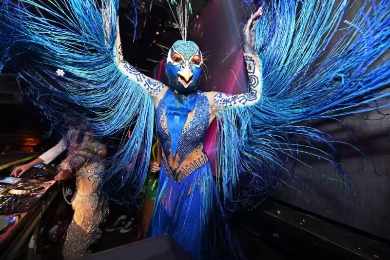 For months Heidi Klum has been working on her Halloween costume! I Want to Be There for Everyone