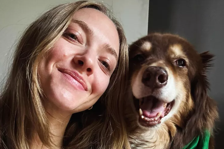 Amanda Seyfried clarifies the video of her singing popular from Wicked
