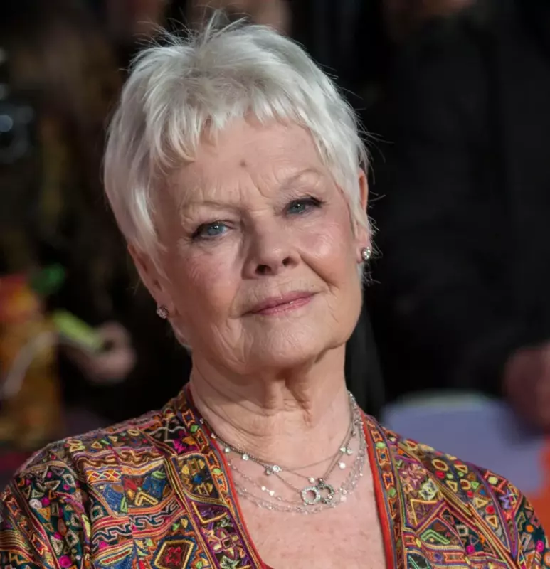 90 yearold Judi Dench vision loss prevents me from going out alone anymore! I'll walk into something or fall over