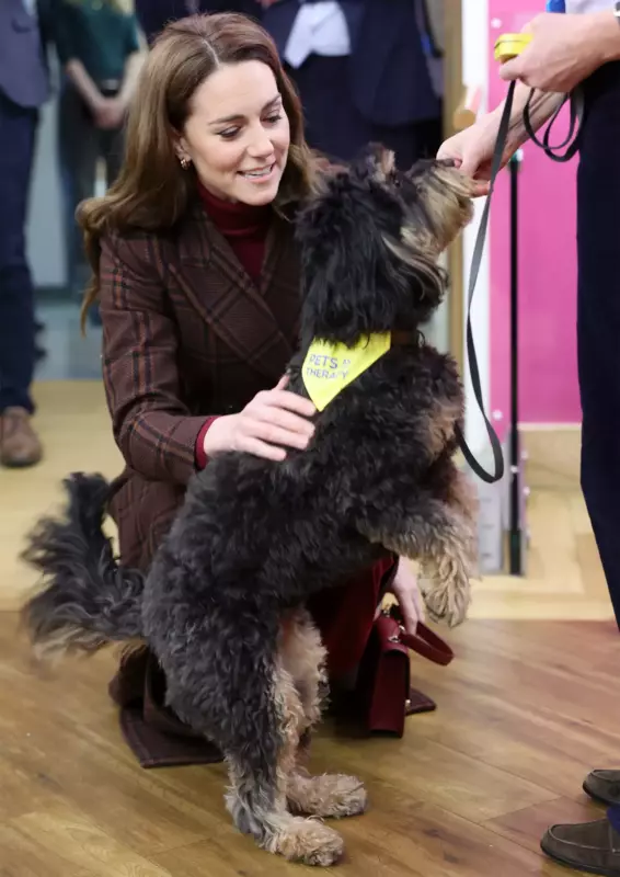 In a rare public appearance, Kate Middleton surprises cancer patients at the same hospital where she received treatment the previous year