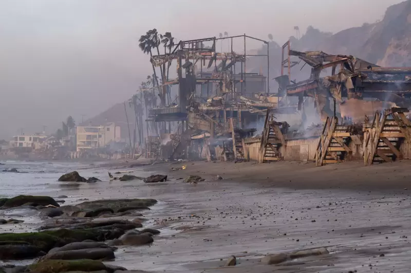 After five nights alone in the midst of fire debris, a man from Los Angeles was shocked to discover his dog alive and said, Thank God