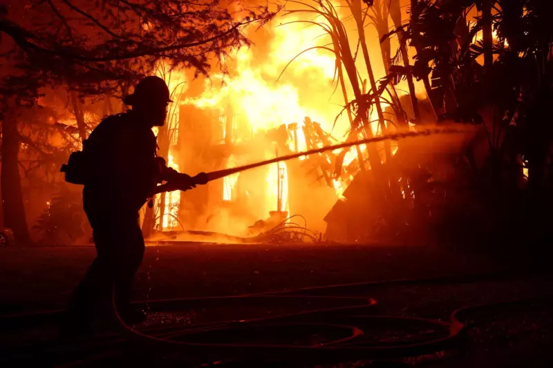 After five nights alone in the midst of fire debris, a man from Los Angeles was shocked to discover his dog alive and said, Thank God