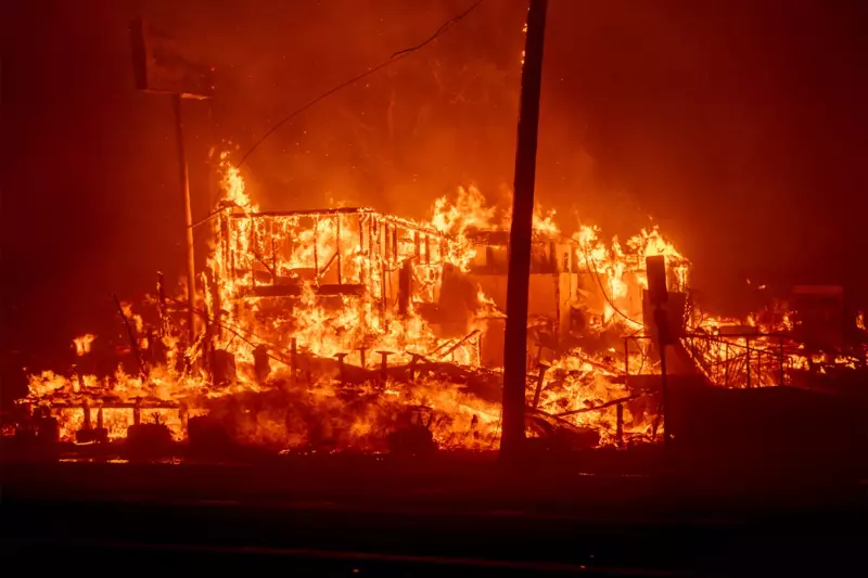 After five nights alone in the midst of fire debris, a man from Los Angeles was shocked to discover his dog alive and said, Thank God
